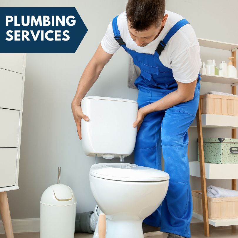 Plumbing Company in Swan Valley, ID
